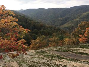 vista from crabtree falls screenshot